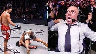 You Won't Believe These INSANE MMA Knockout Moments!