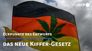 Cannabis-Gesetz kurz erklärt