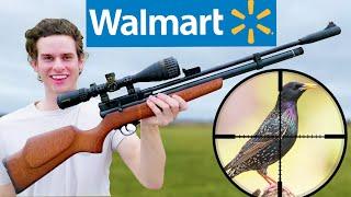 BIRD HUNTING with Walmart's CHEAPEST PCP Air Rifle!!!