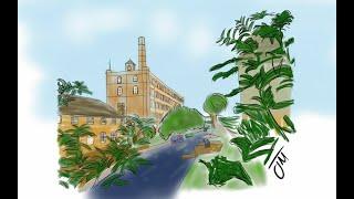 Fazeley Tame Aqueduct, Coventry Canal & Mill Tamworth