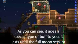 How to Become a Werewolf in TERRARIA!