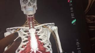 Complete Anatomy 2019 app review