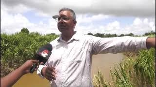 Bamboo #3 Stays Dry Amid Flooding ️ | Engineer Urges Gov’t to Replicate Flood Systems