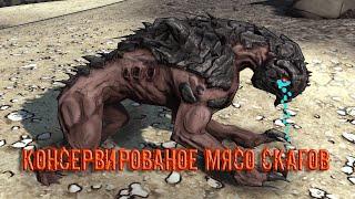 14# Borderlands "КОНСЕРВИРОВАНОЕ МЯСО СКАГОВ"