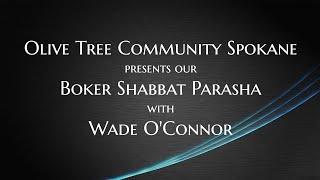 2/3/24 Parasha from Olive Tree Community NW, with Wade O'Connor