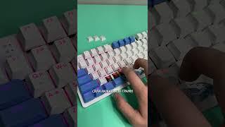 Новая клава от Red Square - KEYROX TKL AQUARIUS