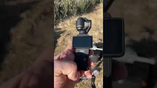 Top DJI 2024 Vlogging Equipment