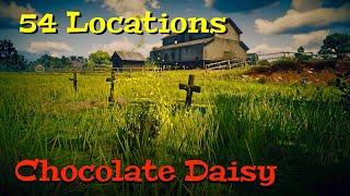 All Chocolate Daisy Locations