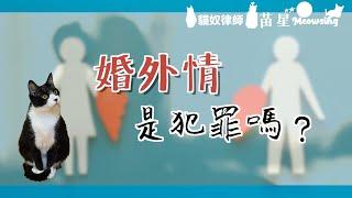 通姦罪違憲嗎？婚外情是犯罪嗎？ | 通姦除罪化？ | 大法官解釋 | 釋憲案 | 貓奴律師 | 生活法律小學堂 | 看貓貓學法律 | 釋字791號