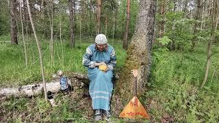 "Колобок - румяный бок". Музыкальное видеозанятие ведет музыкальный руководитель Юлия Земскова.