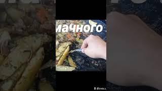 Смажена картопля з м'ясом та овочами на диску