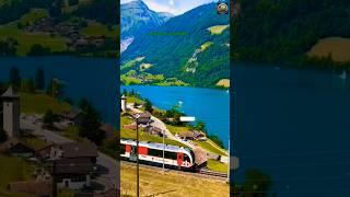 Nature's Silent Magic' Wonders ️ #naturelovers #shorts #ytshorts #paulnature