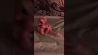 G3.5 my little pony toys #mylittlepony #mlpg35