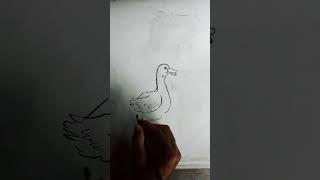 How To Draw A Swan Easy