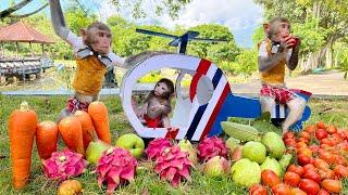 Bim Bim flies a helicopter with baby monkey Obi to harvest fruit