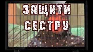 Акция в защиту Войтенковой Натальи!!! Поддержите женщину, мать троих несовершенно летних детей!!!