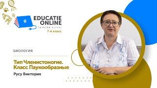 Биология, 7-й класс, Тип Членистоногие. Класс Паукообразные