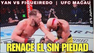 UFC MACAU YAN VS FIGUEIREDO, ¿te gustó? #live #livestream