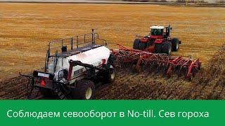 Соблюдаем севооборот в No-till. Сев гороха