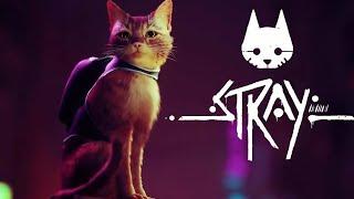 Прохождение STRAY на платину Часть 1