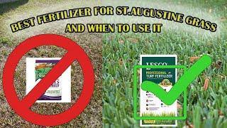 The Best Fertilizer For St Augustine Grass | When To Fertilize Your Lawn