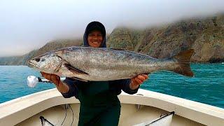 Catalina Island White Seabass Fishing! (Camping, Catch, Clean and Cook) Part 2 of 3