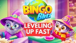 How to Level Up Fast on Bingo Blitz 2024?