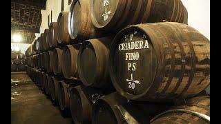 Sisseck does sherry: visiting Bodega san Francisco in Jerez