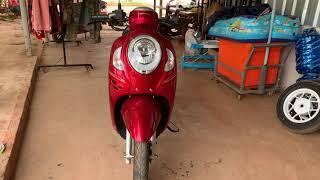 Honda scoopy 2021 red