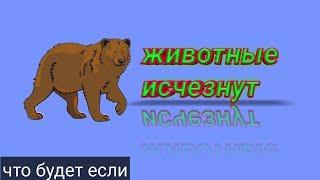 Что будет, Если животные исчезнут