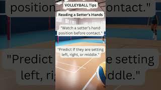 Volleyball TIP 19