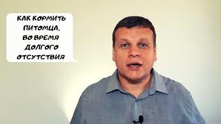 КАК ЗАПАСТИСЬ И КОРМИТЬ ПИТОМЦА, ВО ВРЕМЯ ДОЛГОГО ОТСУТСТВИЯ?