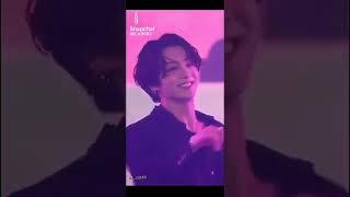Our cute and handsome Bunny