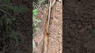 Demonstration of trench digging with a pickaxe grip