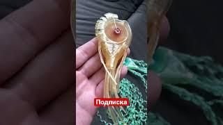 Кто знает?