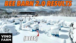 Beekeeper Solves Winter (2 Years Running!)