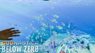 Stalker Subnautica Below Zero