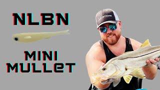 NLBN Mini Mullet | Boca Grande FL Fishing | Inshore Slam