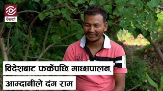 विदेशबाट फर्केपछि बदलियो रामको हाल, माछा पालेर भए मालामाल | Fish Farming | Nepal Farkeypachi