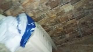 20170319 002656