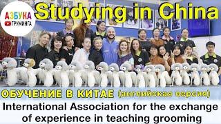 Studying grooming in China. Association for the exchange. Английская версия! Читаем описание к видео