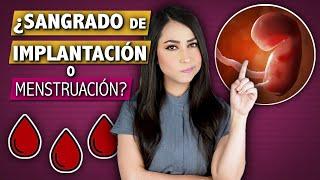 Implantation Bleeding vs Period | How to tell the difference ‍️ Dra. Pau Zúñiga