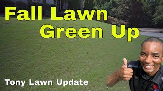 Soil Test and Light Top Dressing with Soil - Tony Lawn Care Update