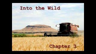 Into the Wild Chapter 3 Summary
