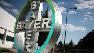 Bayer shares fall on $2.25 billion court order | REUTERS