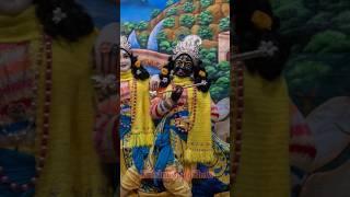 Radhe Radhe Shyam Japu Main Teri Galiyo mein | #radha