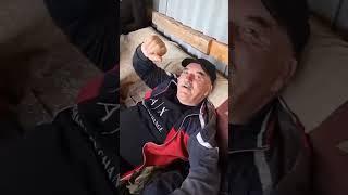 Аварская на пандуре