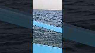 boating at mahanadi @lipunx