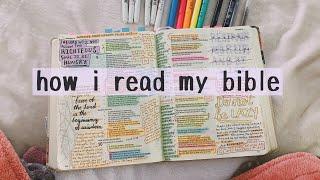 How I Read My Entire Bible TWICE (+ tools I use)