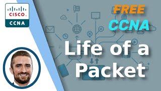 Free CCNA | The Life of a Packet | Day 12 | CCNA 200-301 Complete Course